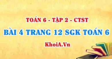 Bài 4 trang 12 SGK Toán 6 Tập 2 Chân trời sáng tạo